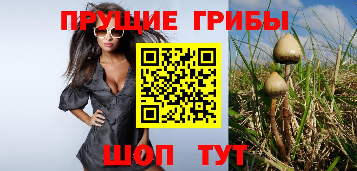 Североуральск  Псилоцибиновые грибы MAGIC MUSHROOMS  Галлюциногенные грибы MAGIC MUSHROOMS  Вход с VPN 